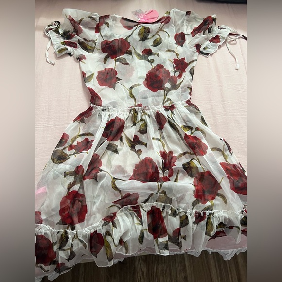 Sugar Thrillz Red and White Rose Floral Midi Dress - Picture 5 of 5